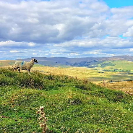 Σπίτι διακοπών Beebole *