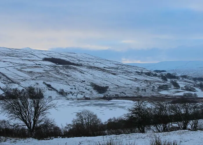 Beebole بيت للعطل *