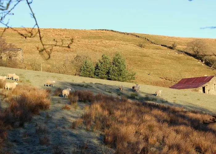 بيت للعطل Beebole آسكريج